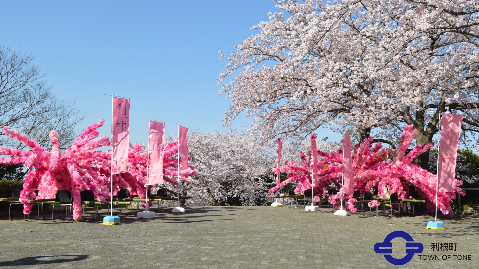 『花みこしと役場の桜』の画像
