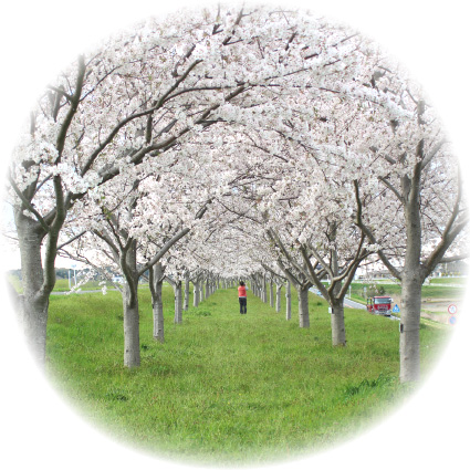 『『』の画像』の画像