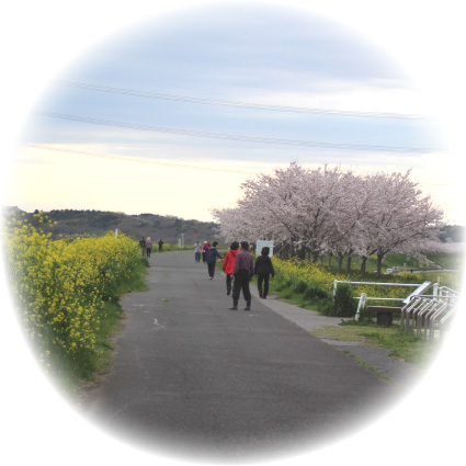 『『』の画像』の画像