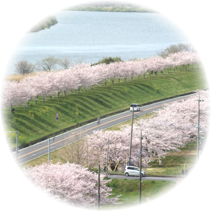 『『』の画像』の画像