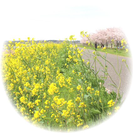 『『』の画像』の画像