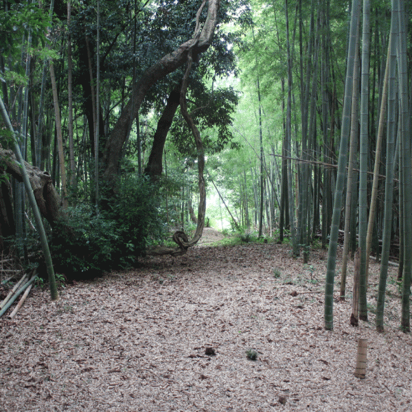 『『『『』の画像』の画像』の画像』の画像