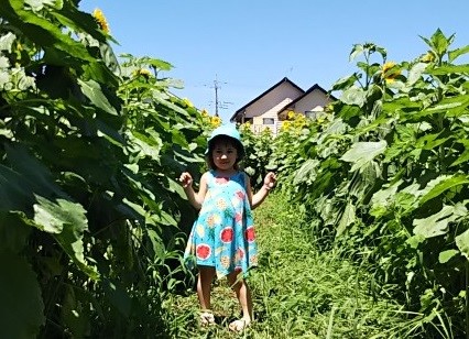 『』の画像