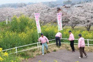 『2020.3.27桜づつみ(1)』の画像