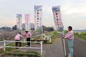 『2020.3.27桜づつみ(2)』の画像