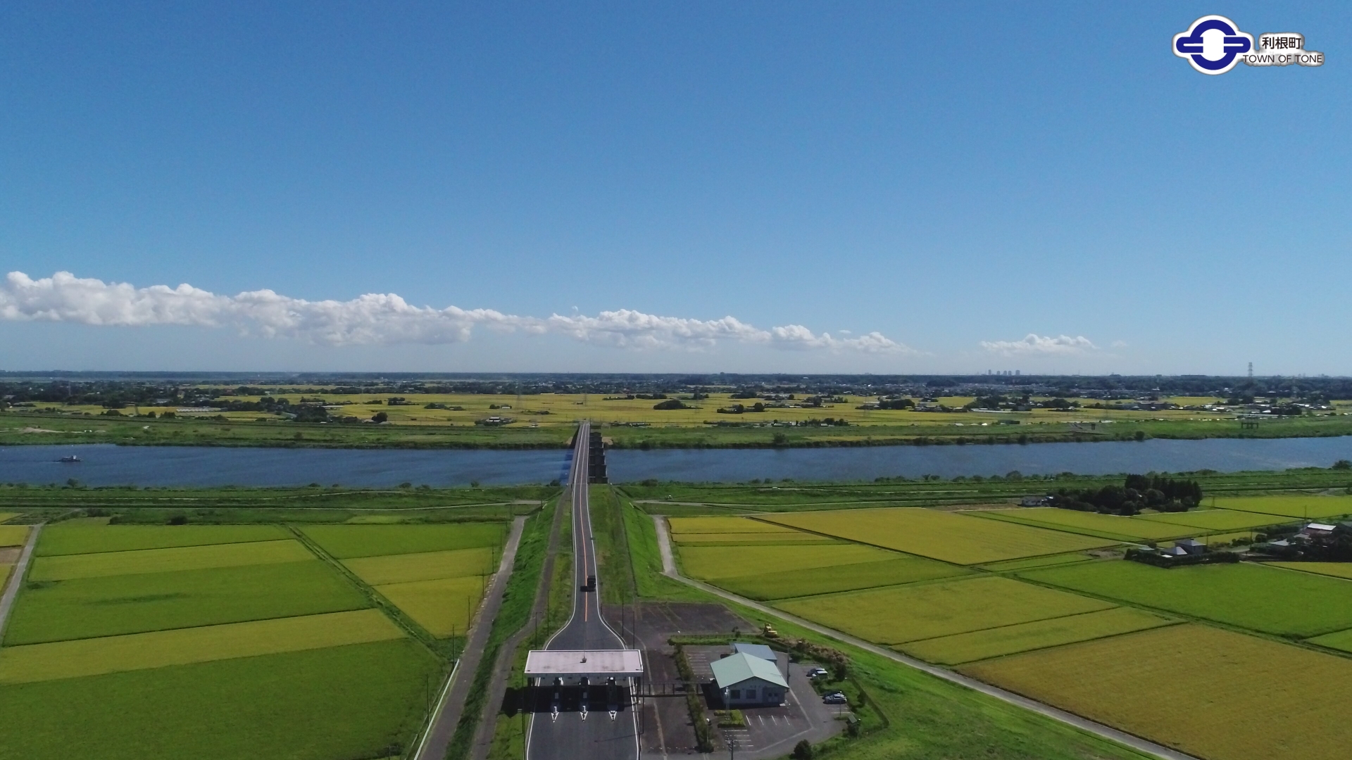 『若草大橋』の画像