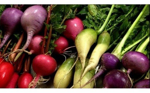 『岩戸農園の野菜』の画像