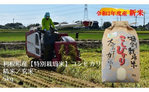『『『『利根町コシヒカリ特別栽培米』の画像』の画像』の画像』の画像