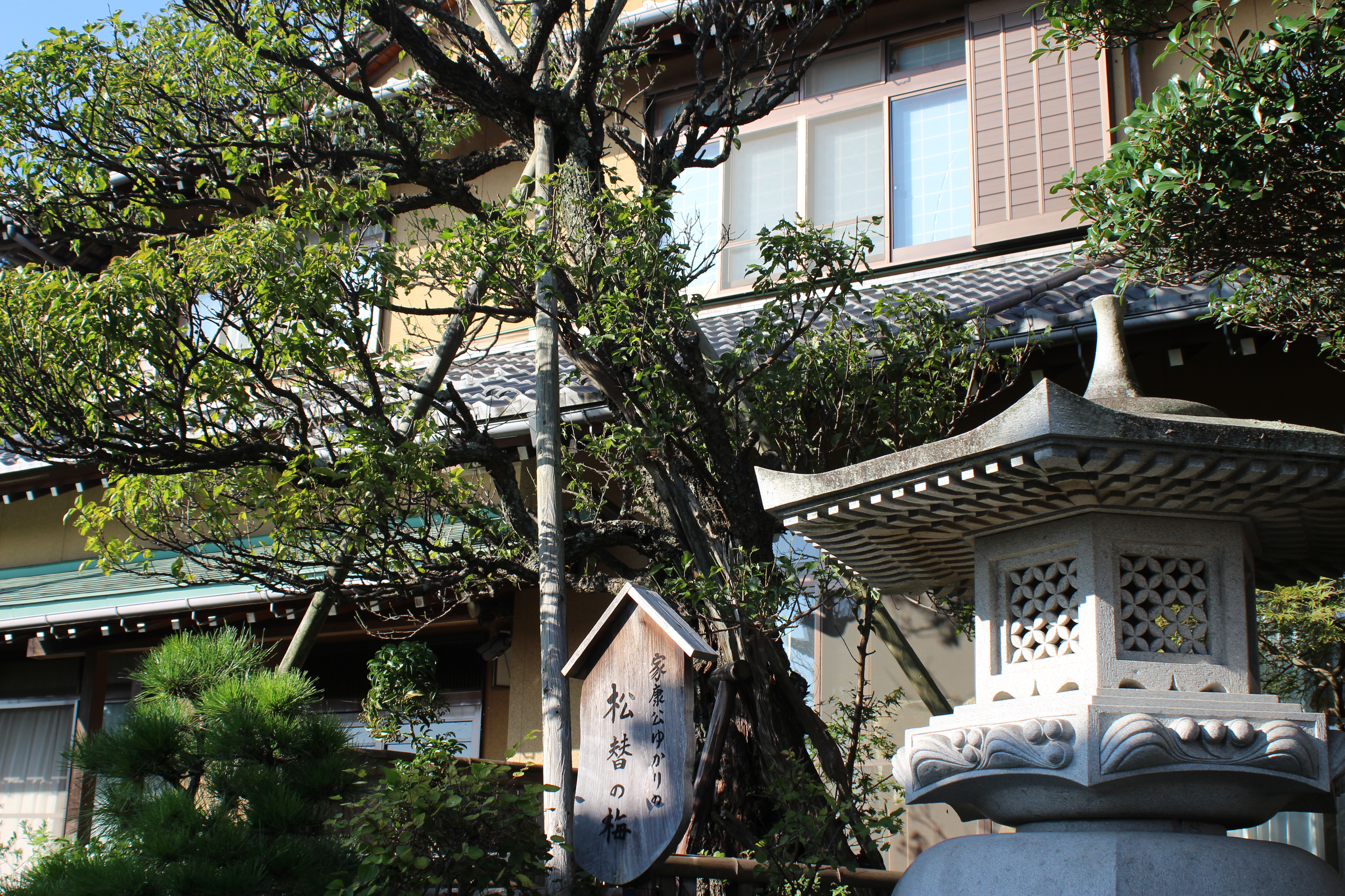 『松替の梅（カルタ用）』の画像