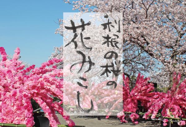 『利根の桜の花みこし』の画像