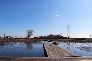 『親水公園冬4』の画像