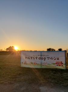 『わんてら夕陽』の画像