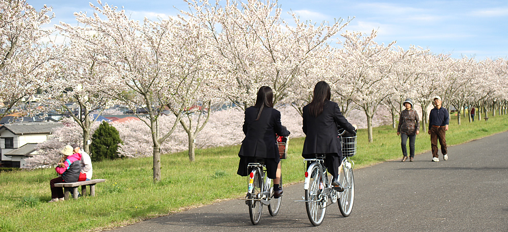 利根町03